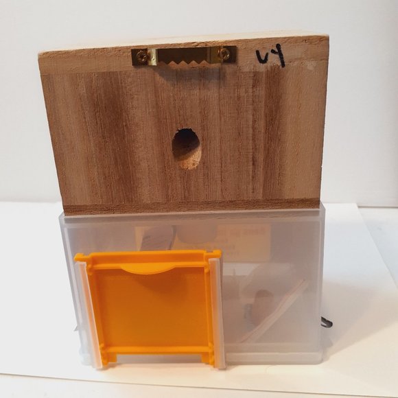 carpenter bee trap Bees N Things - Picture 15 of 16